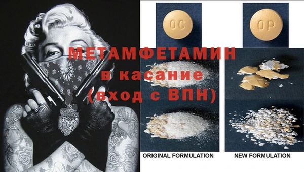 крисы Новозыбков