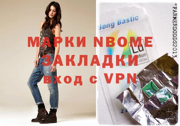 крисы Новозыбков