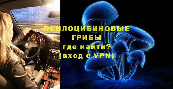 крисы Новозыбков