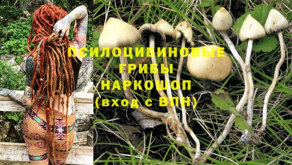 Альфа ПВП Абинск